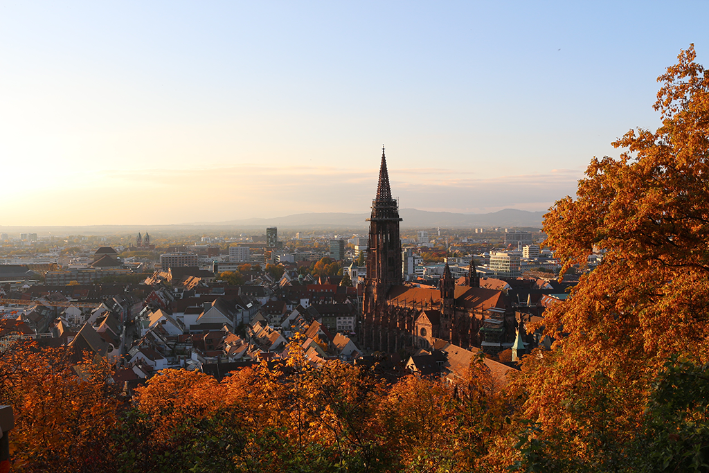 Münster, The Black Forest, Germany